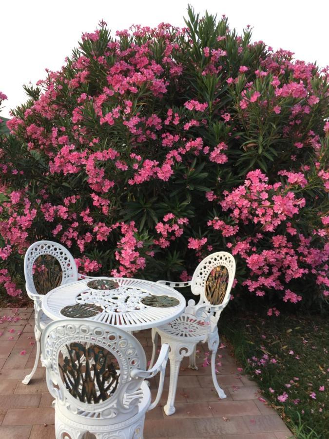 Two-Bedroom Apartment with Balcony,1111126884:JPEG