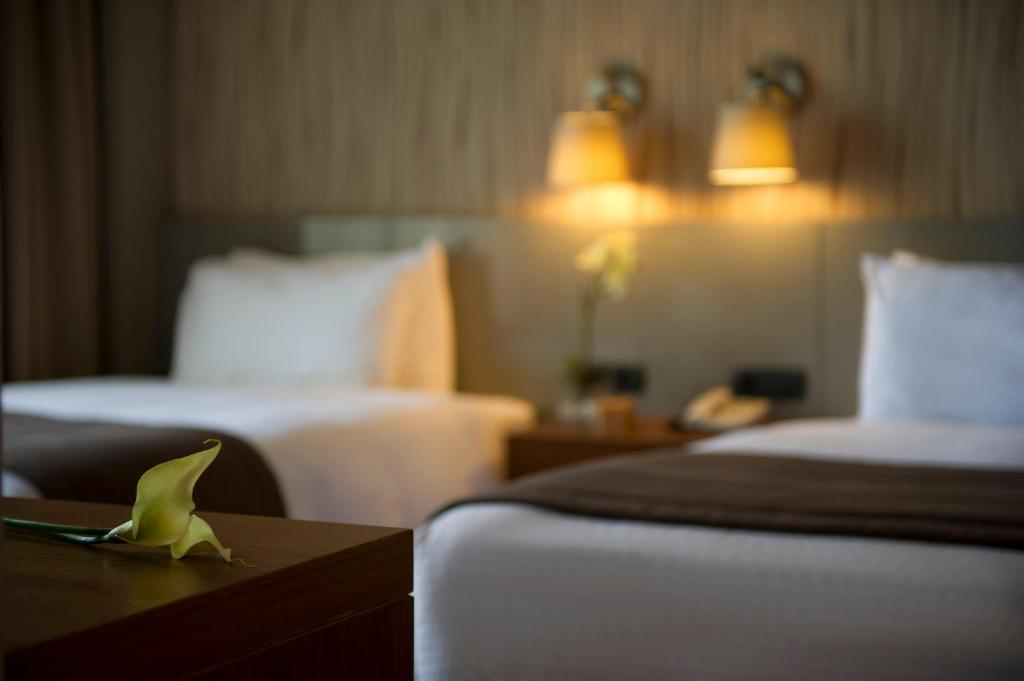 Two-Bedroom Suite