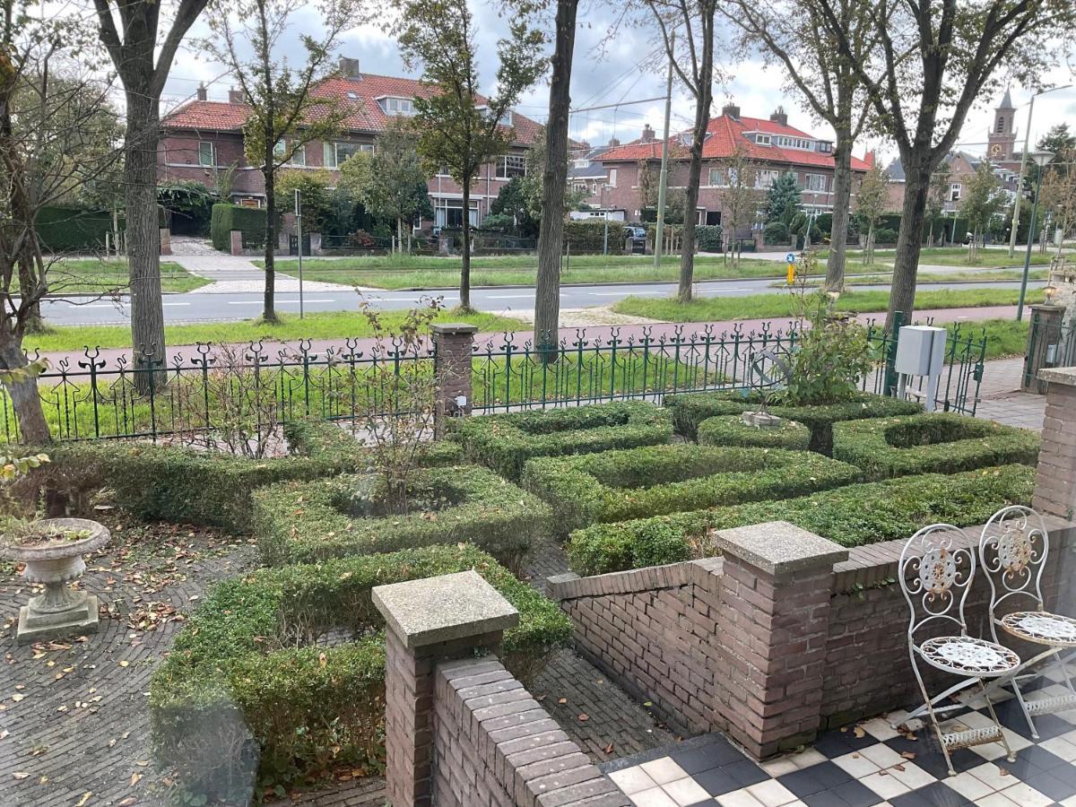 Studio with Garden View,1344243218:JPEG
