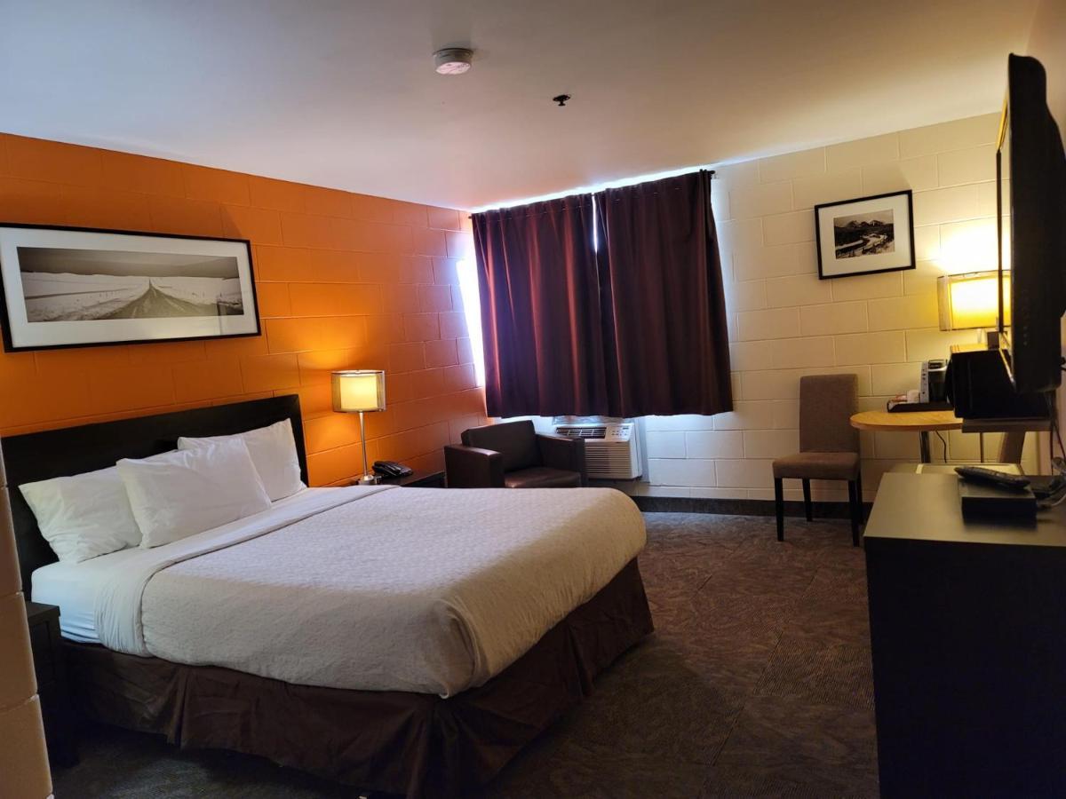 Standard Queen Room - Pet Friendly,1241901367:JPEG