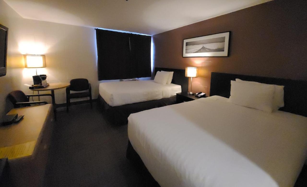 Standard Quadruple Room - Non Pet Friendly,1173535869:JPEG