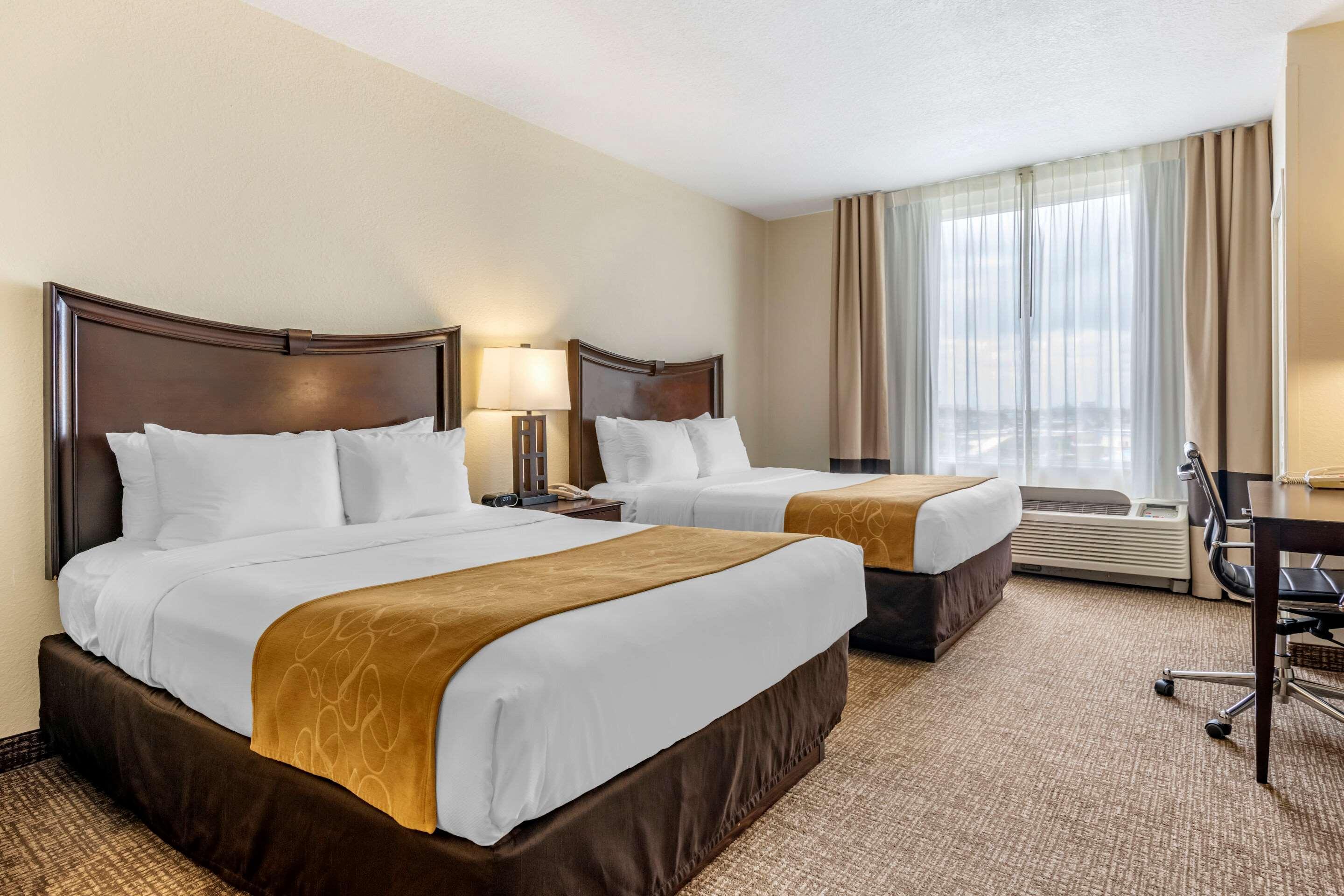 Suite con cama grande