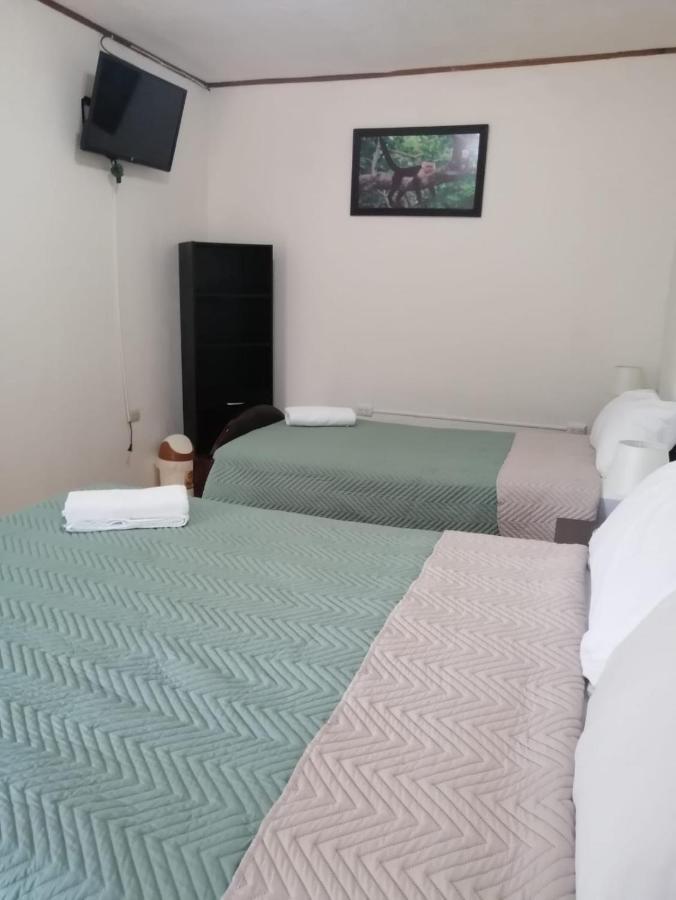 Triple Room,1418916081:JPEG