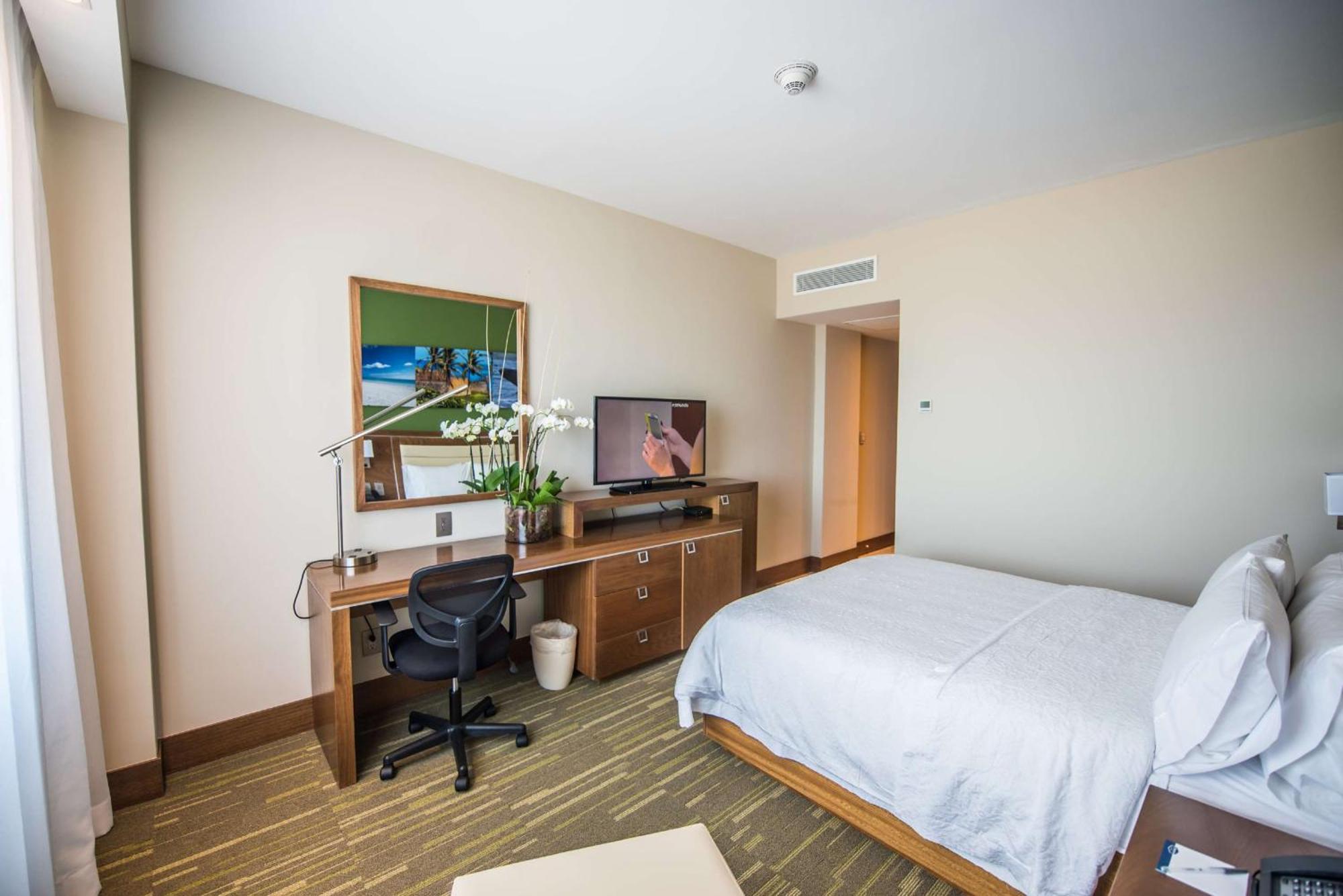 Habitación con ducha accesible en silla de ruedas - Cama grande - Adaptada para personas con movilidad reducida - No fumadores