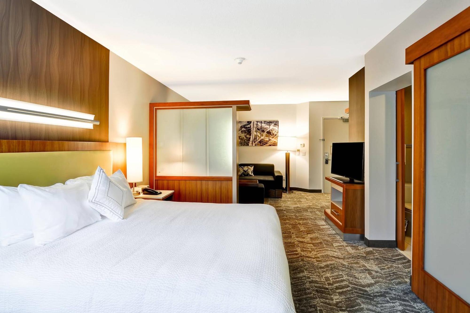 King Suite with Transfer Shower, Bathtub and Trundle Sofa - Mobility Access/Hearing Accessible,1634416621:JPEG