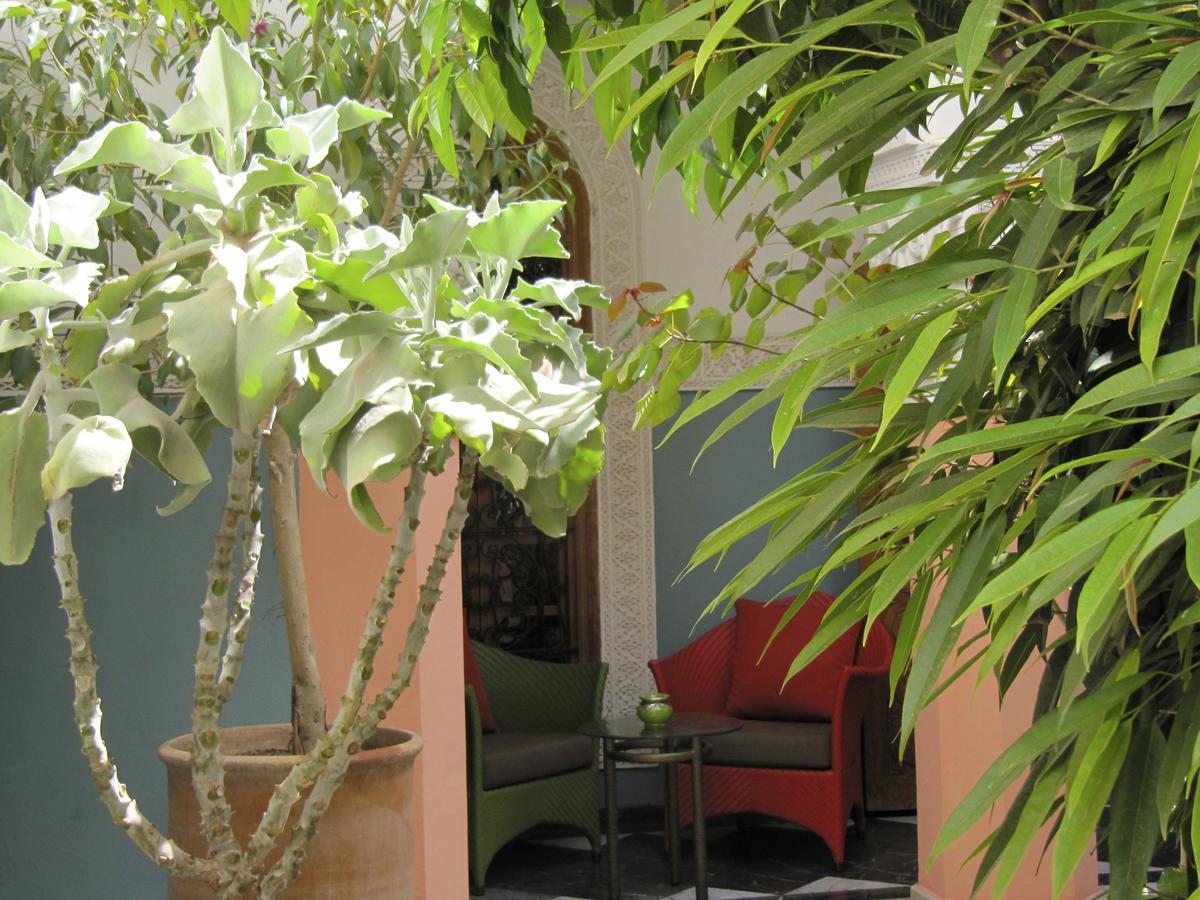 Suite con terraza