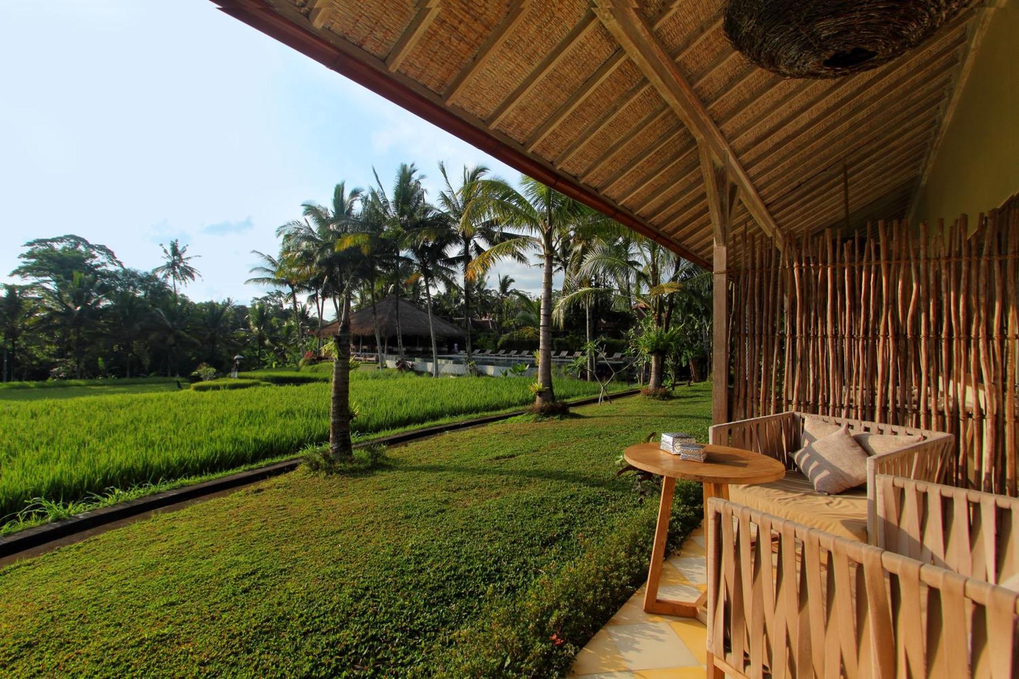 Deluxe Room with Rice Field View,1277599090:JPEG