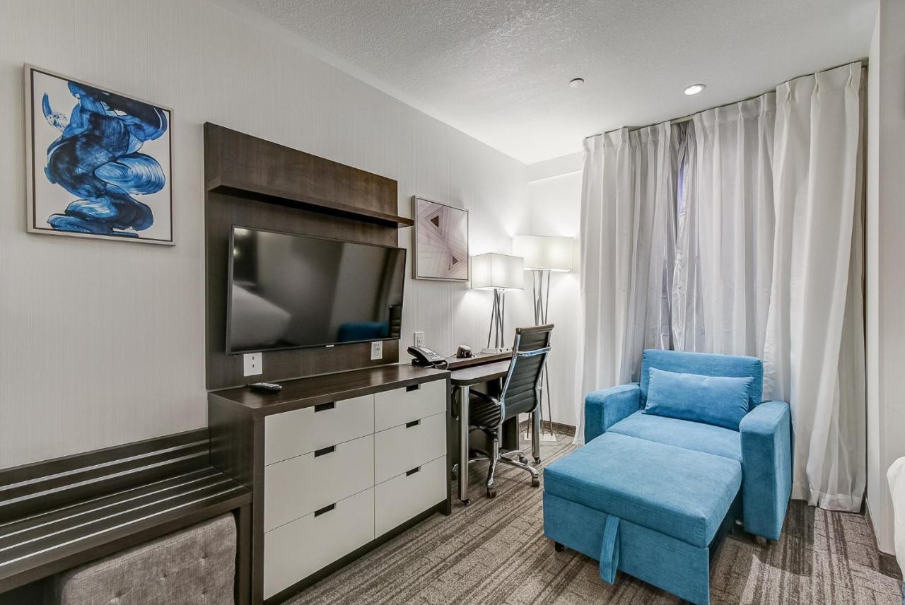 Estudio con cama extragrande y sofá cama