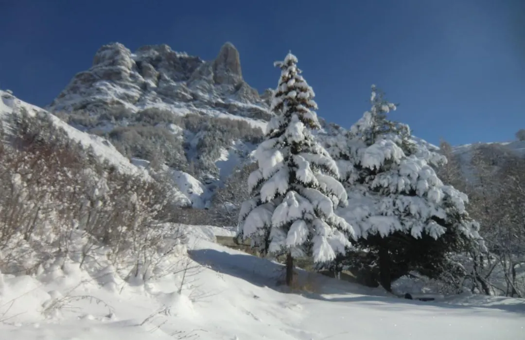 Auberge du Pont de l'Alp-1