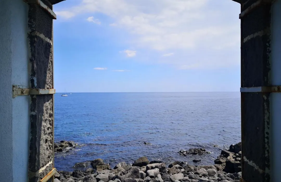Il Cavalluccio Marino Fronte Mare-1