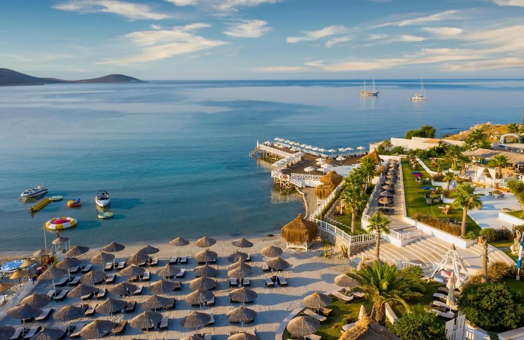 Design Plus Seya Beach Hotel-1