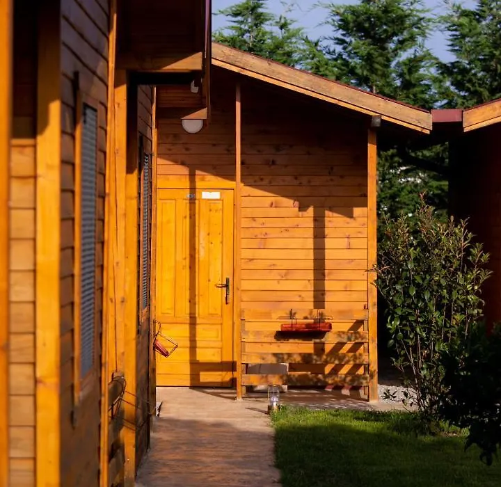 Sunny Garden Pansion-1