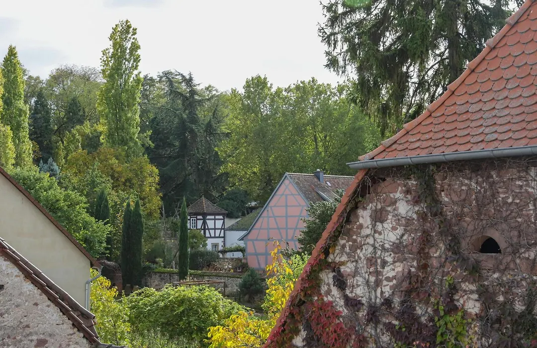 Boutique-Hotel im Sternenhof-1