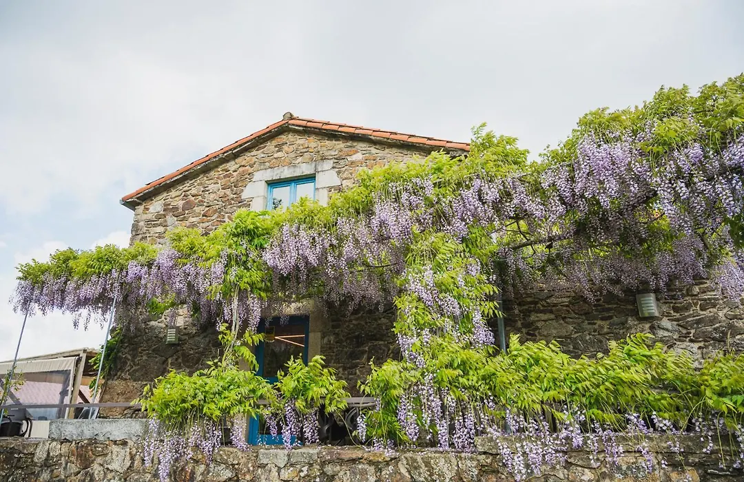 Casa de Amancio-1