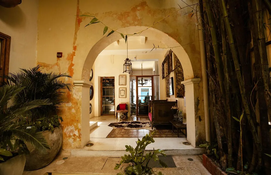 Hotel Casa Lola Deluxe Gallery-1