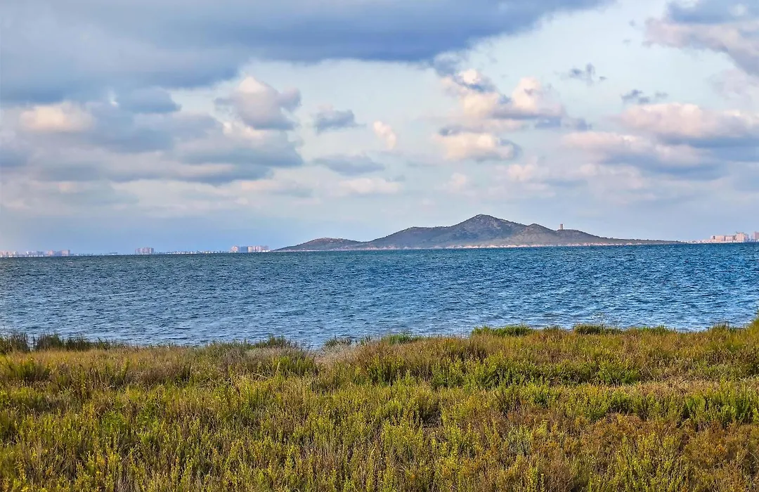 Occidental Mar Menor-1