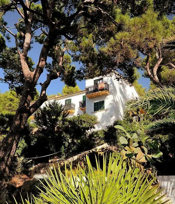 Hostal Los Pinos-1