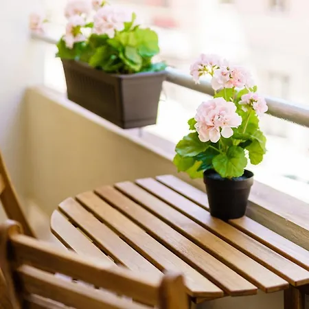 Atena Rooms-3
