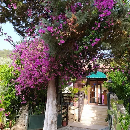 Alya Hotel Goecek-2