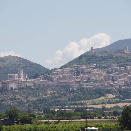 Hotel Cristallo di La Rosetta Srl-2