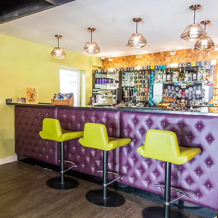 Safestay London Kensington Holland Park (Adults Only)-3