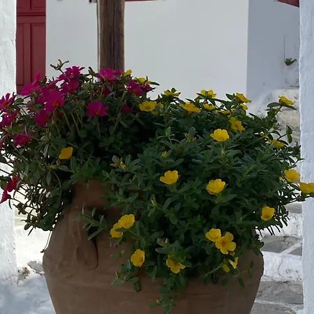 Pensione Della Nonna-2