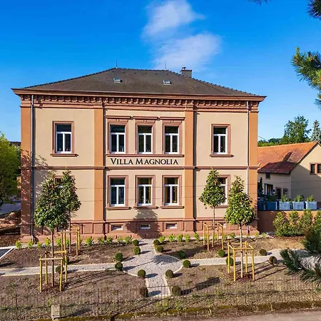 Villa Magnolia Wissembourg-2