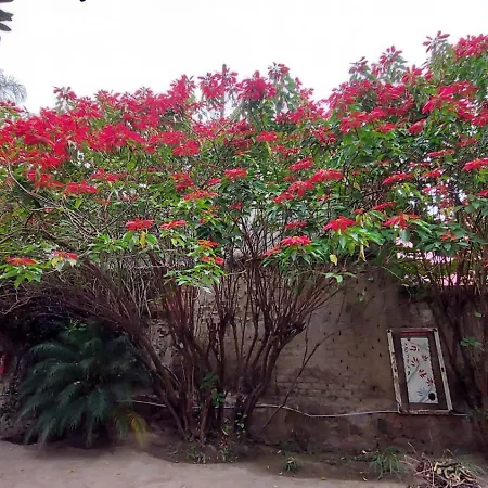 Samsara Hotel Salta-3