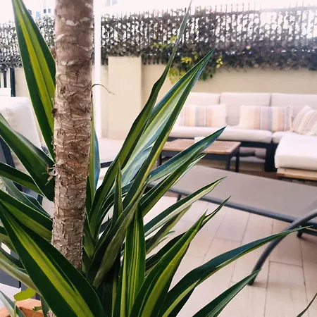 Zalamera Bnb-2