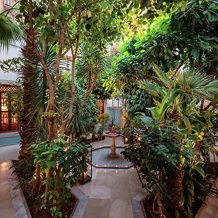 Riad Siwan-2