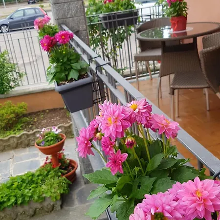 Villa Rosina-2
