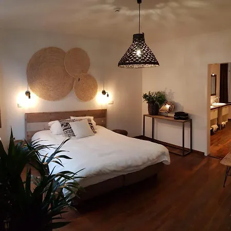 Anthos B&B-3