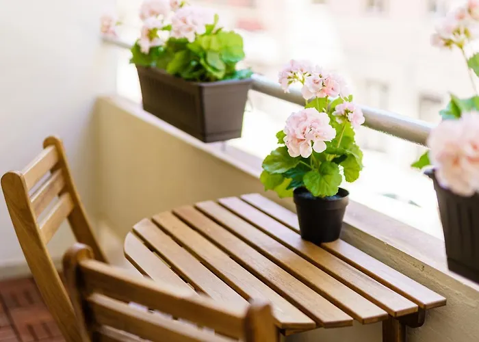 Atena Rooms