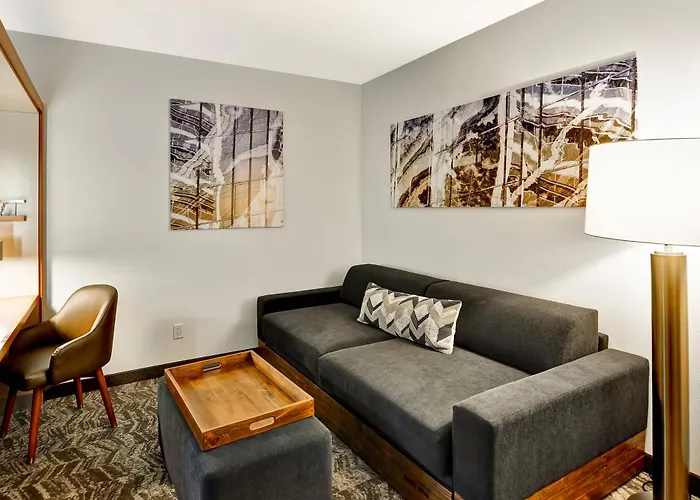 Springhill Suites By Marriott Columbia Fort Meade Area