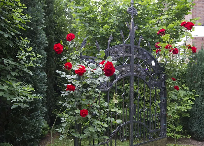 Boutiquehotel Dreesen - Villa Godesberg