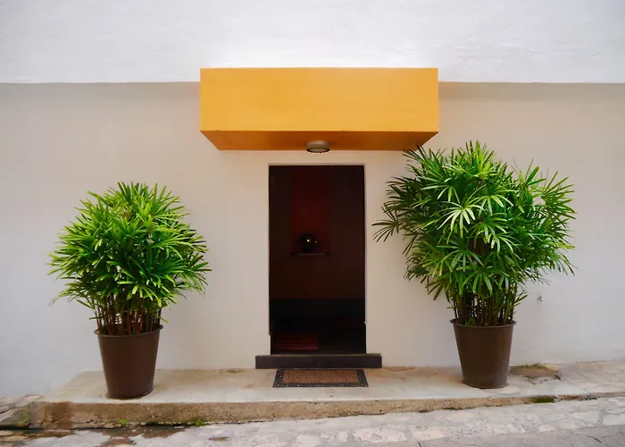Casa Cupula Lgbt Luxury Resort Puerto Vallarta