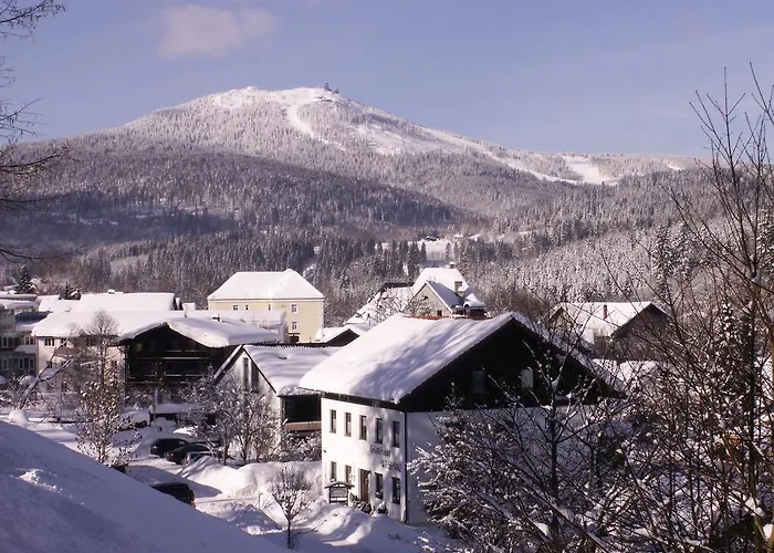 Pension Wiesenau Bayerisch Eisenstein
