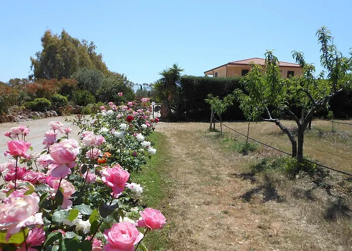 Bed And Breakfast Le Camelie