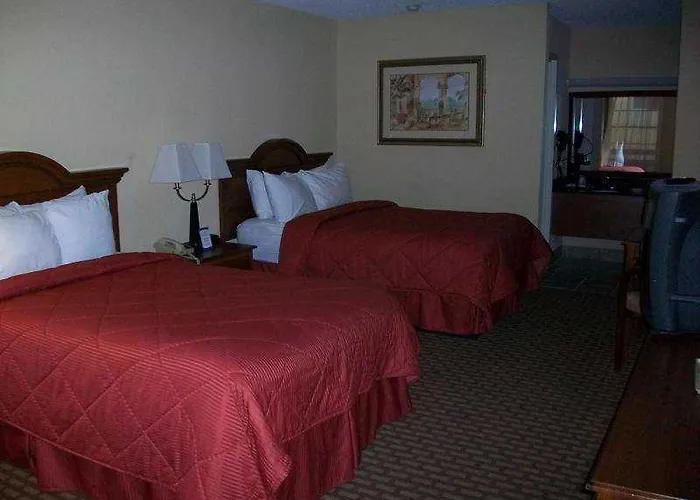 Comfort Inn Conference Center Tampa